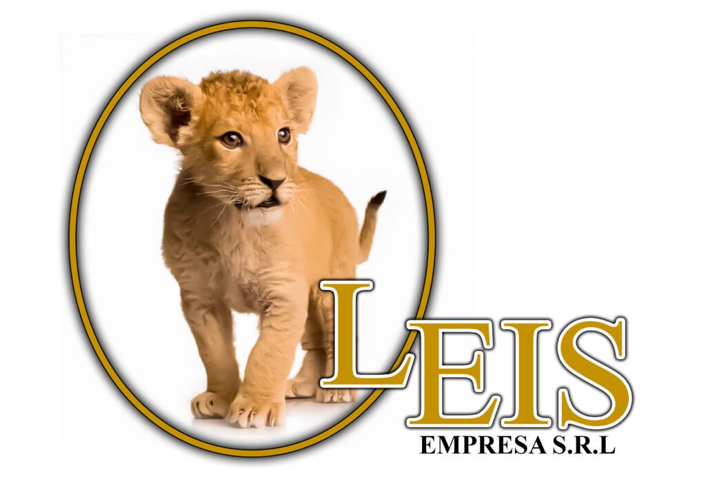 Inicio MPM LEIS